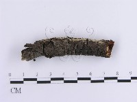 登錄號:F0013581藏品圖，第5張