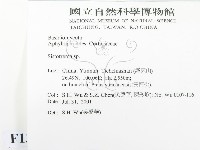 登錄號:F0013582藏品圖，第2張