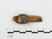 登錄號:F0013582藏品圖，第3張