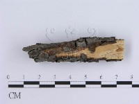 登錄號:F0013583藏品圖，第3張