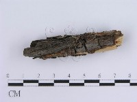 登錄號:F0013583藏品圖，第4張