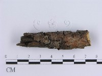 登錄號:F0013583藏品圖，第5張