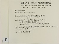 登錄號:F0013584藏品圖，第2張