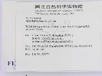 登錄號:F0013585藏品圖，第2張