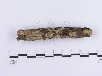 登錄號:F0013585藏品圖，第1張