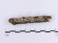 登錄號:F0013585藏品圖，第3張