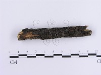 登錄號:F0013585藏品圖，第5張