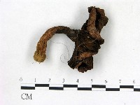 登錄號:F0013588藏品圖，第1張