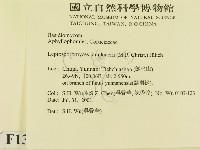 登錄號:F0013589藏品圖，第2張