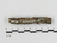 登錄號:F0013589藏品圖，第1張