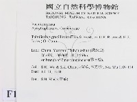 登錄號:F0013590藏品圖，第2張