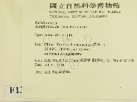 登錄號:F0013592藏品圖，第2張