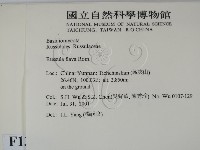 登錄號:F0013593藏品圖，第2張