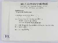 登錄號:F0013594藏品圖，第2張