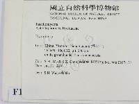 齒菌屬藏品圖，第2張