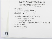 登錄號:F0013596藏品圖，第2張