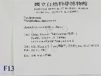 登錄號:F0013597藏品圖，第2張