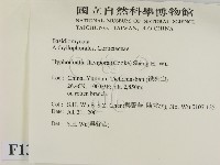 登錄號:F0013598藏品圖，第2張