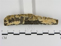 登錄號:F0013598藏品圖，第3張