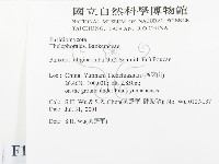 登錄號:F0013600藏品圖，第2張