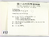 登錄號:F0013601藏品圖，第2張