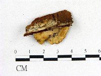 登錄號:F0013601藏品圖，第3張