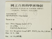 栓菌屬藏品圖，第2張