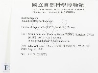 登錄號:F0013605藏品圖，第2張