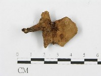 登錄號:F0013605藏品圖，第1張