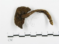 登錄號:F0013609藏品圖，第3張