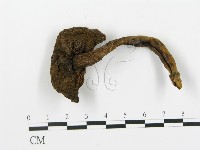 登錄號:F0013609藏品圖，第4張