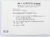 登錄號:F0013611藏品圖，第2張