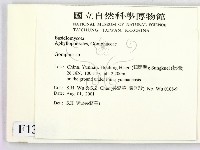 登錄號:F0013613藏品圖，第2張