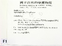 登錄號:F0013615藏品圖，第2張