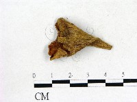 登錄號:F0013615藏品圖，第1張