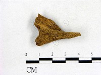 登錄號:F0013615藏品圖，第3張