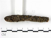 登錄號:F0013616藏品圖，第1張