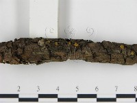 登錄號:F0013616藏品圖，第3張