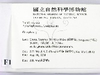 登錄號:F0013618藏品圖，第2張