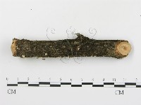 登錄號:F0013620藏品圖，第3張