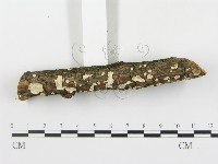 登錄號:F0013620藏品圖，第4張