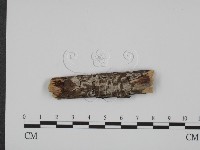 登錄號:F0013621藏品圖，第1張