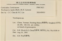 登錄號:F0013621藏品圖，第3張