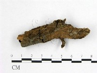 登錄號:F0013622藏品圖，第1張