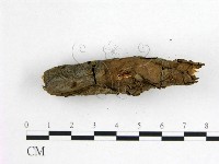 登錄號:F0013622藏品圖，第3張