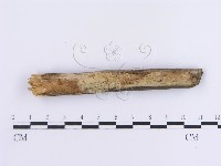 登錄號:F0013623藏品圖，第1張