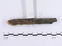 登錄號:F0013623藏品圖，第4張