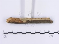 登錄號:F0013623藏品圖，第5張