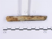 登錄號:F0013623藏品圖，第6張