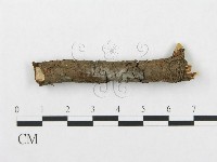 登錄號:F0013624藏品圖，第1張